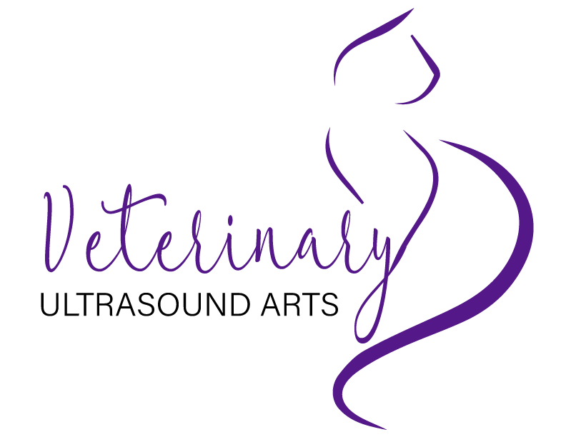 Veterinary Ultrasound Arts Logo - Navigate Home